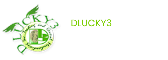 dlucky3 logo